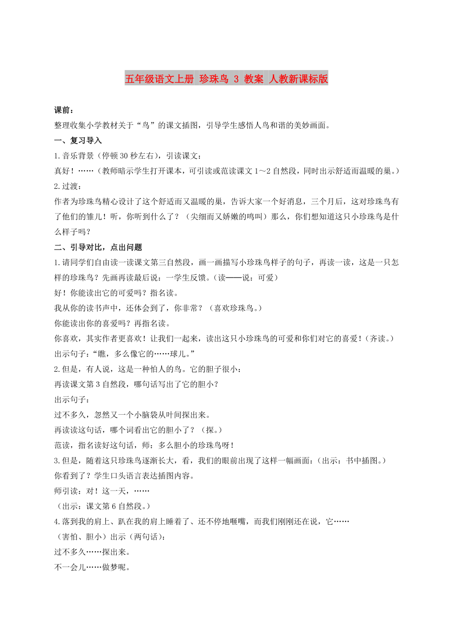 五年级语文上册 珍珠鸟 3 教案 人教新课标版_第1页