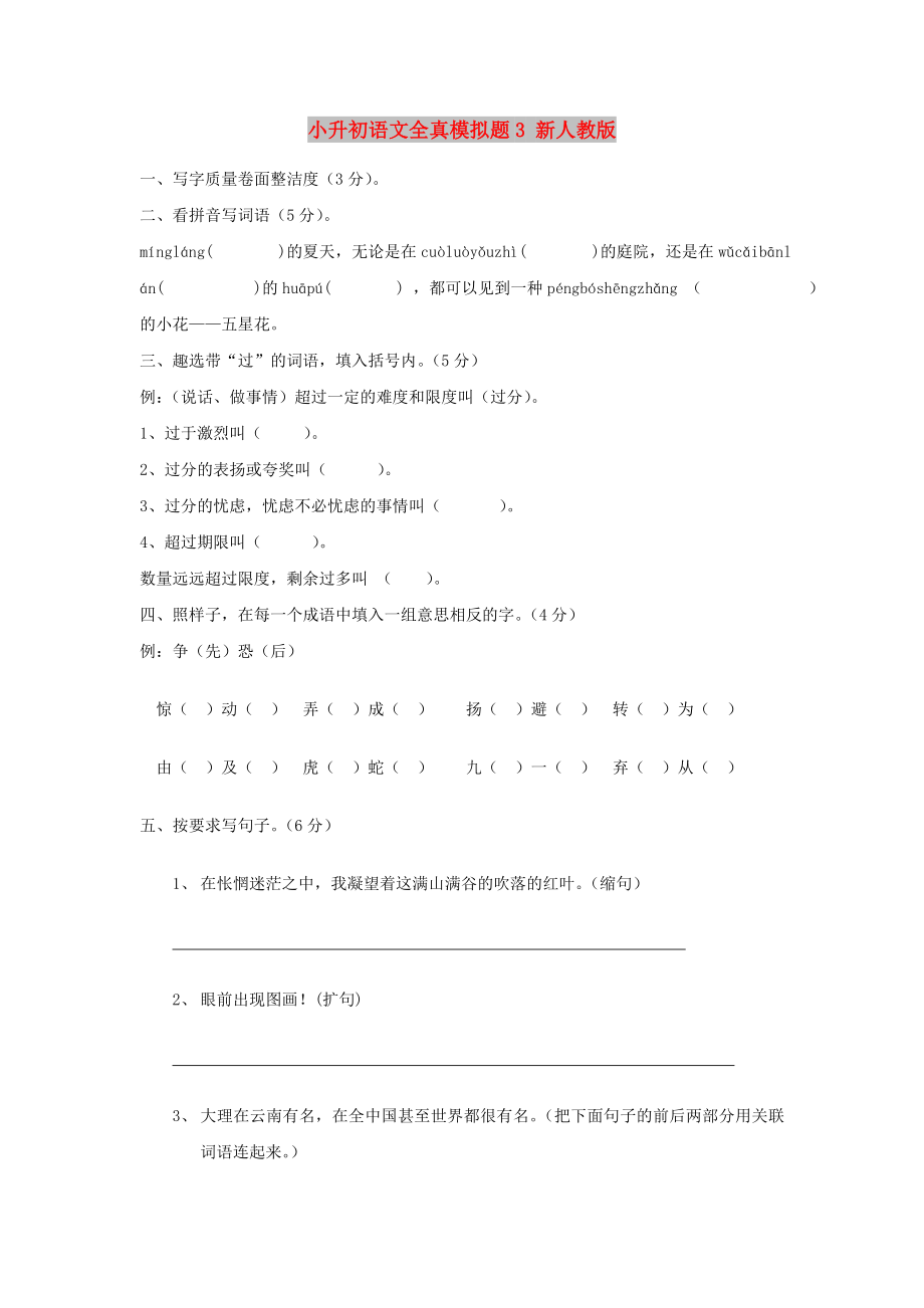 小升初语文全真模拟题3 新人教版_第1页
