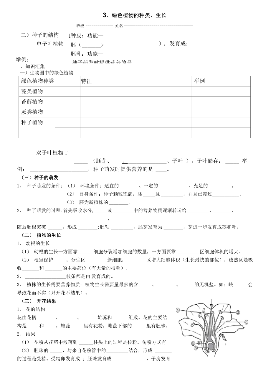 3、绿色植物的种类、生长_第1页
