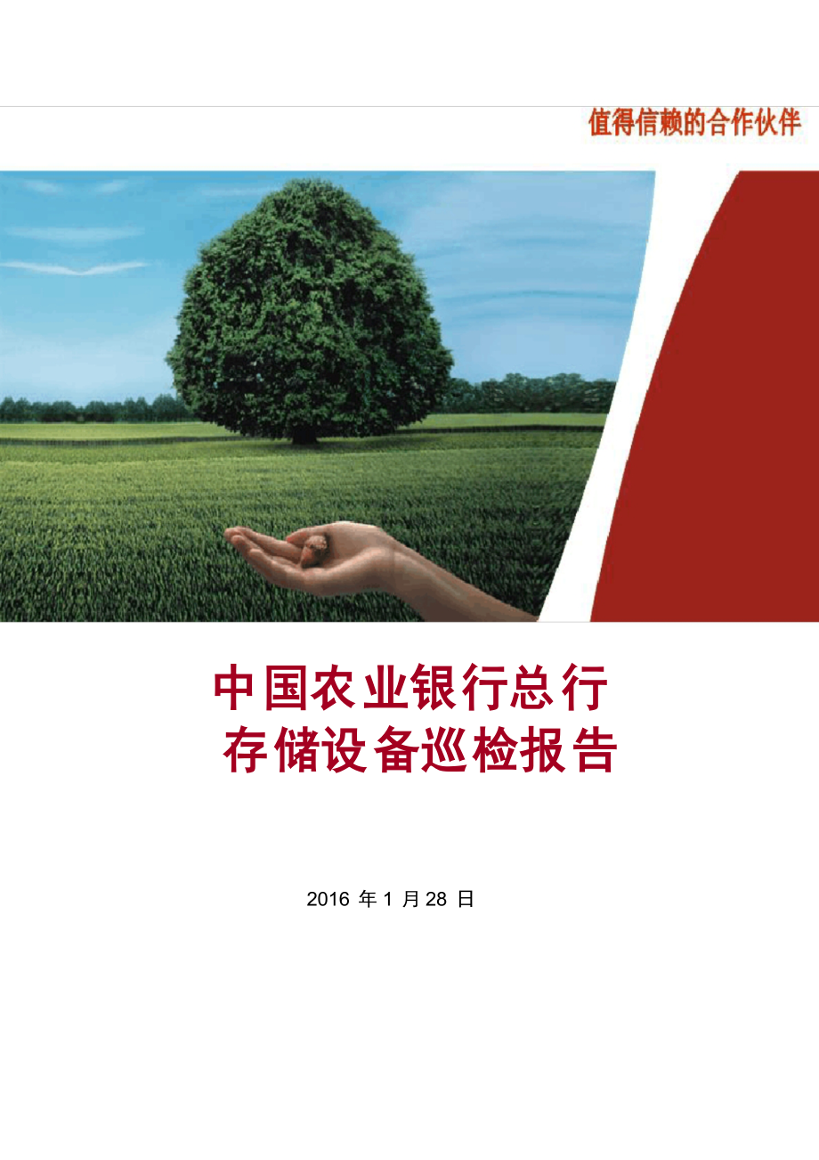 巡检报告_存储_第1页