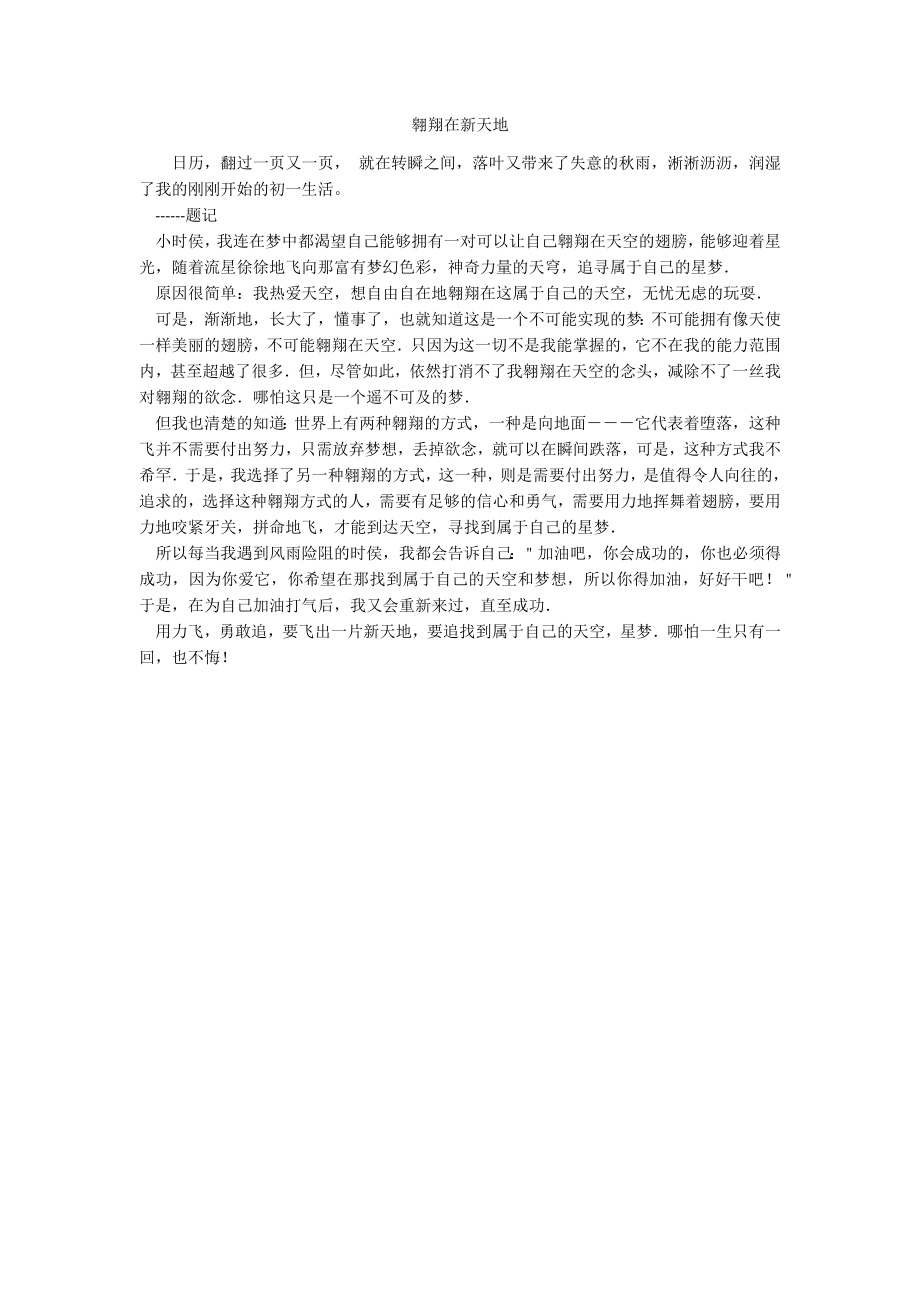 翱翔在新天地_第1页