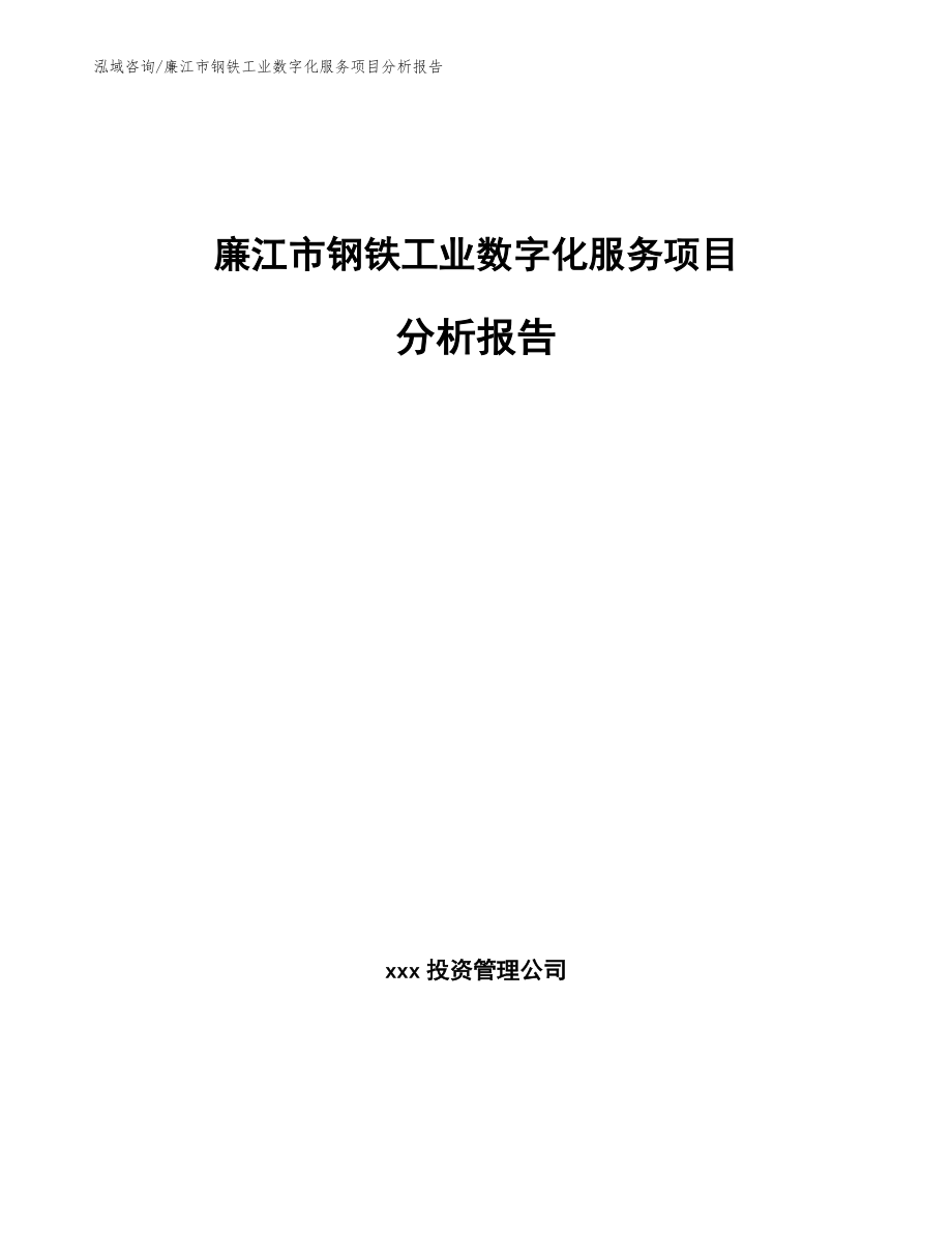 廉江市钢铁工业数字化服务项目分析报告模板范文_第1页