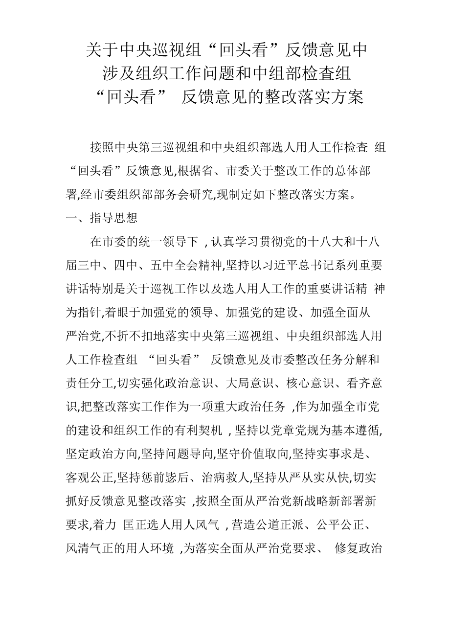 回头看整改落实方案_第1页