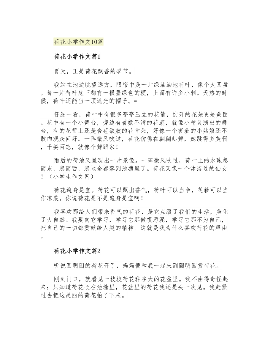 荷花小学作文10篇【多篇汇编】_第1页