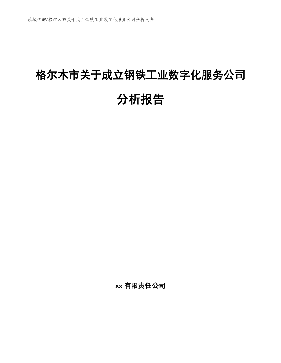 格尔木市关于成立钢铁工业数字化服务公司分析报告范文_第1页
