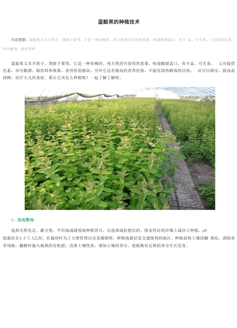 蓝靛果的种植技术_第1页