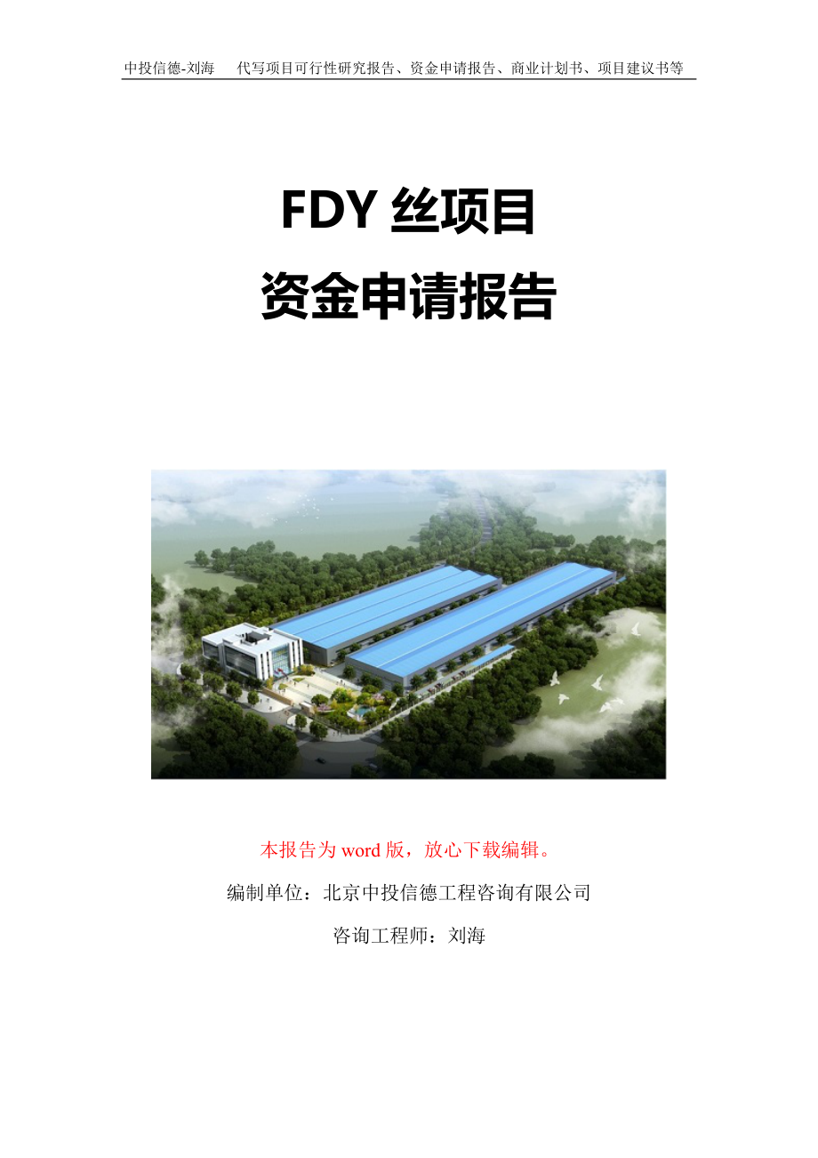 FDY丝项目资金申请报告写作模板-代写定制_第1页
