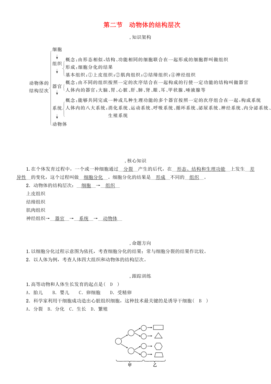 贵阳专版2022年中考生物总复习第2节动物体的结构层次精讲_第1页