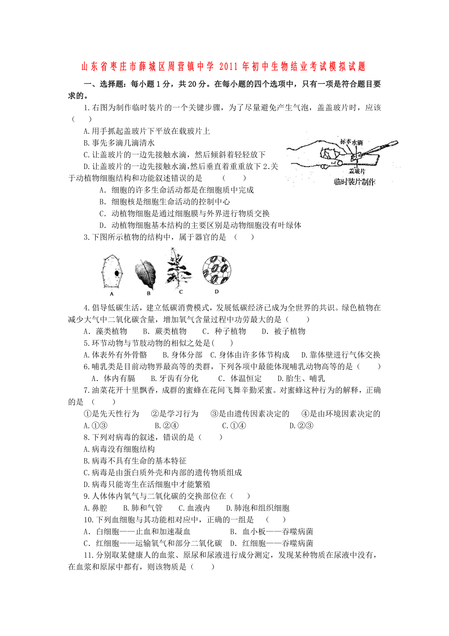 山东省枣庄市薛城区周营镇中学2011年初中生物结业考试模拟试题_第1页