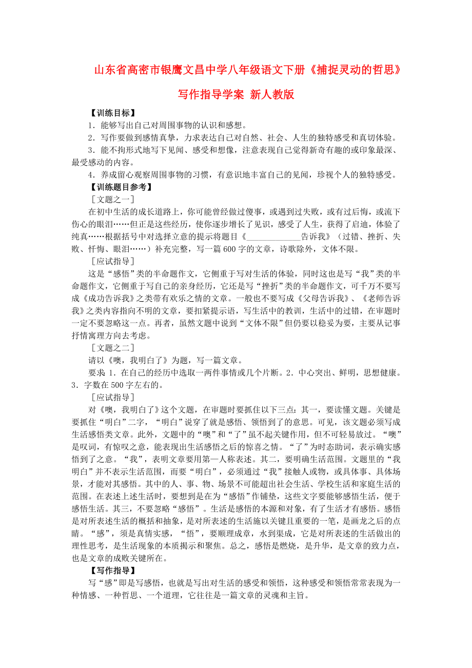 山东省高密市银鹰文昌中学八年级语文下册《捕捉灵动的哲思》写作指导学案 新人教版_第1页
