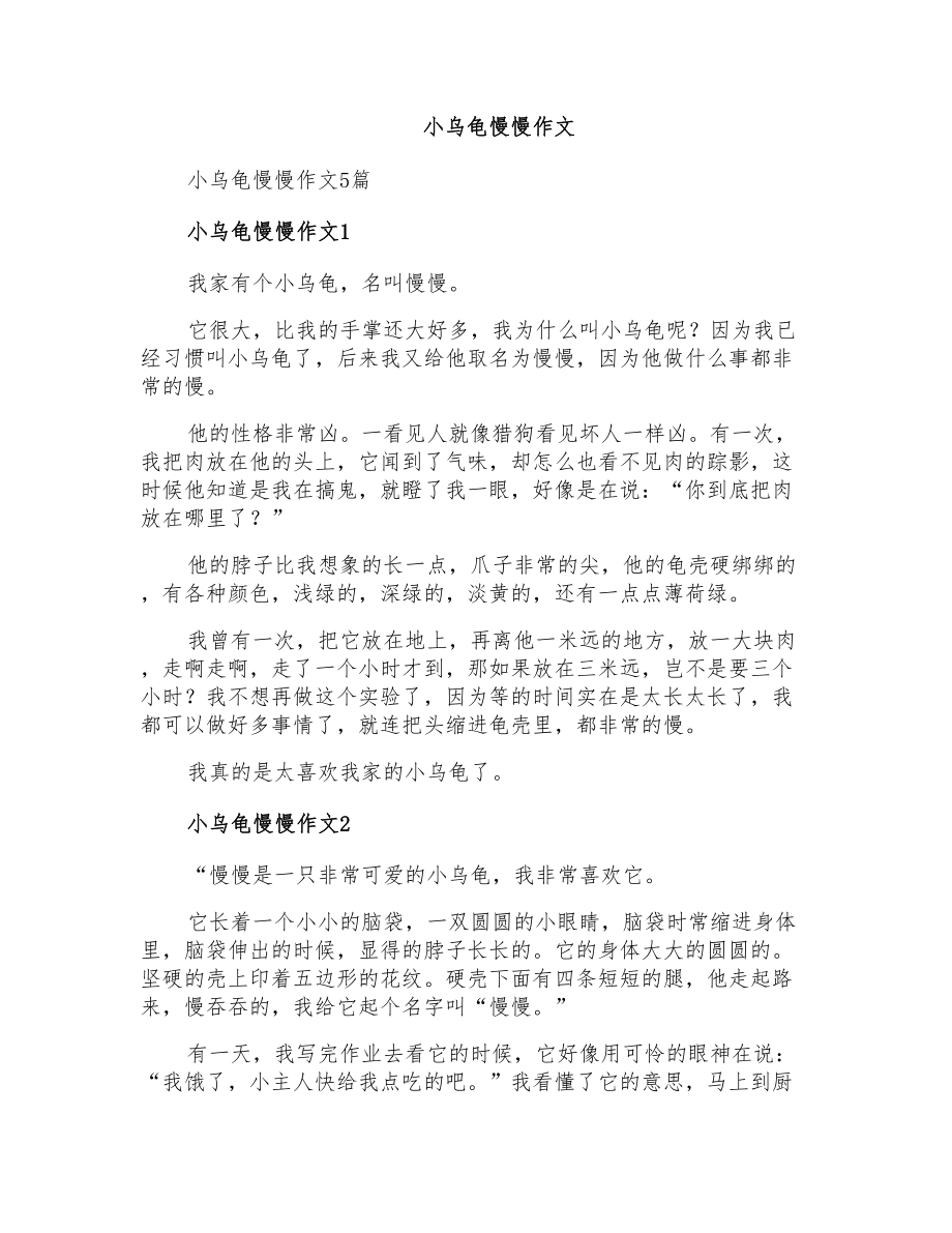 小乌龟慢慢作文_第1页