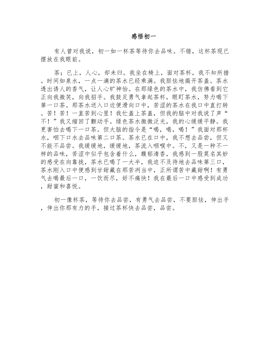 初二叙事作文：感悟初一_第1页