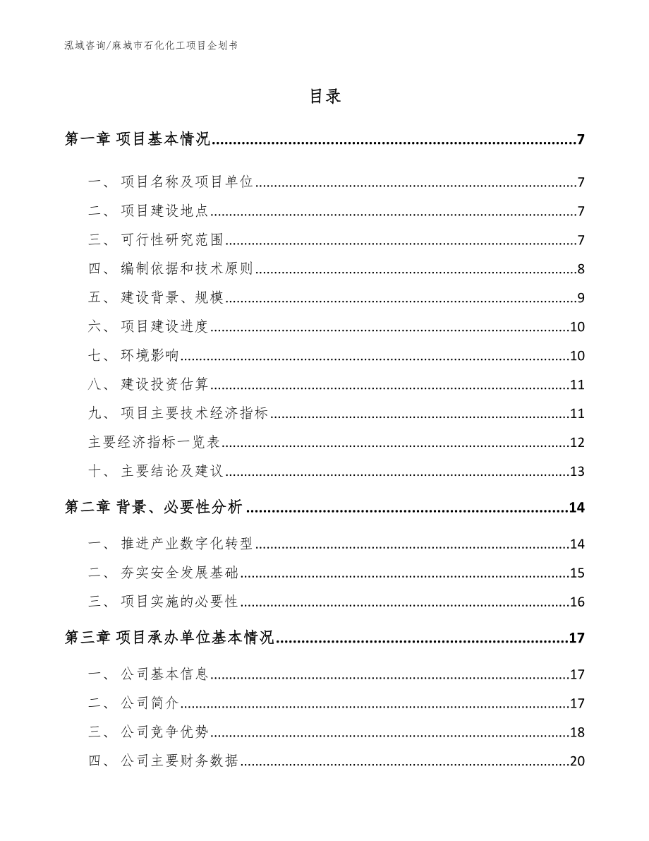 麻城市石化化工项目企划书（参考模板）_第1页
