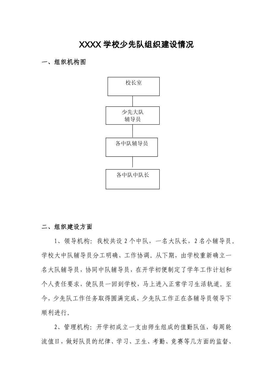 X学校少先队组织建设情况_第1页
