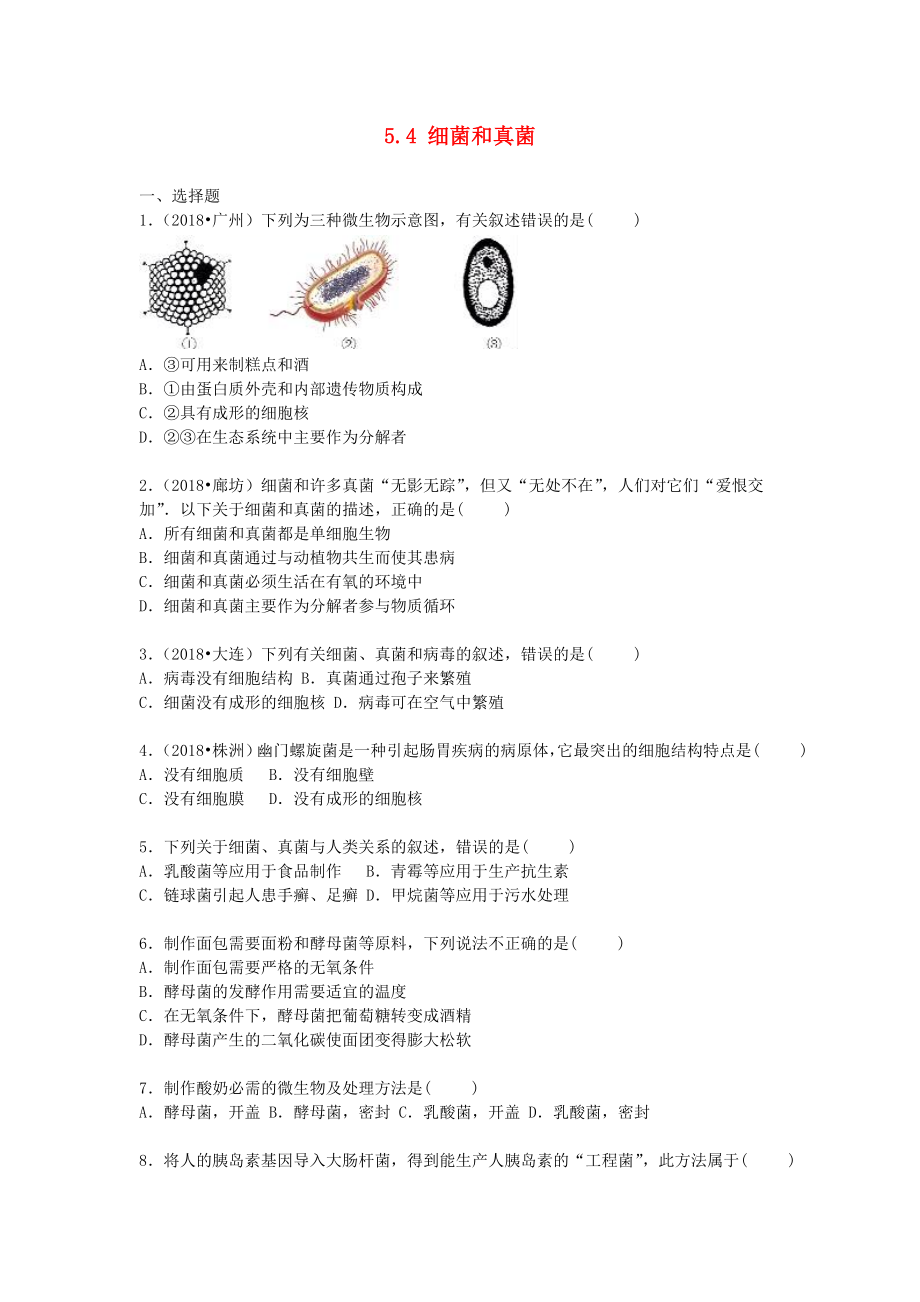 2018年八年级生物上册5.4细菌和真菌单元综合测试含解析新版新人教版_第1页