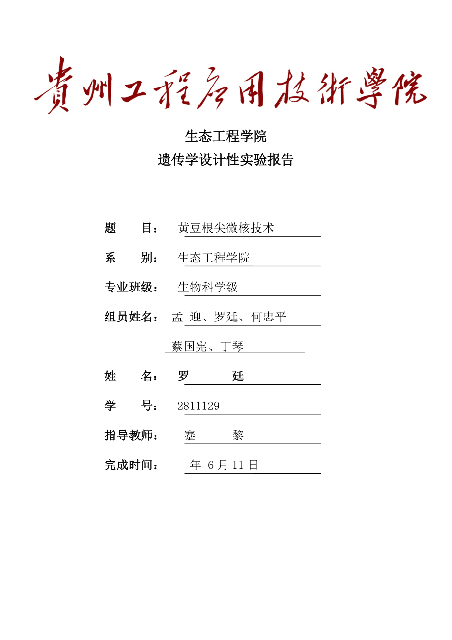 黄豆芽微核实验报告_第1页