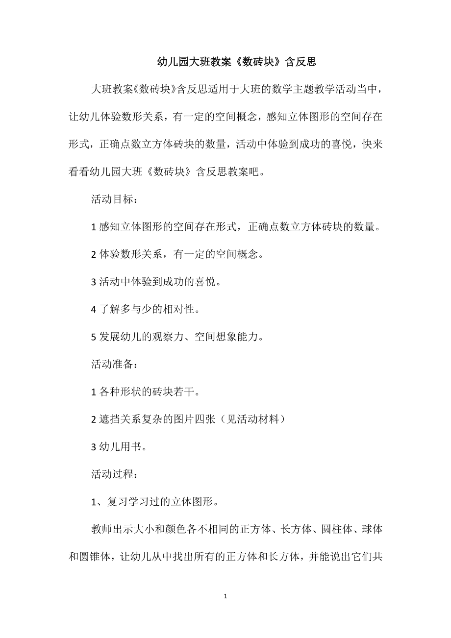 幼儿园大班教案《数砖块》含反思_第1页