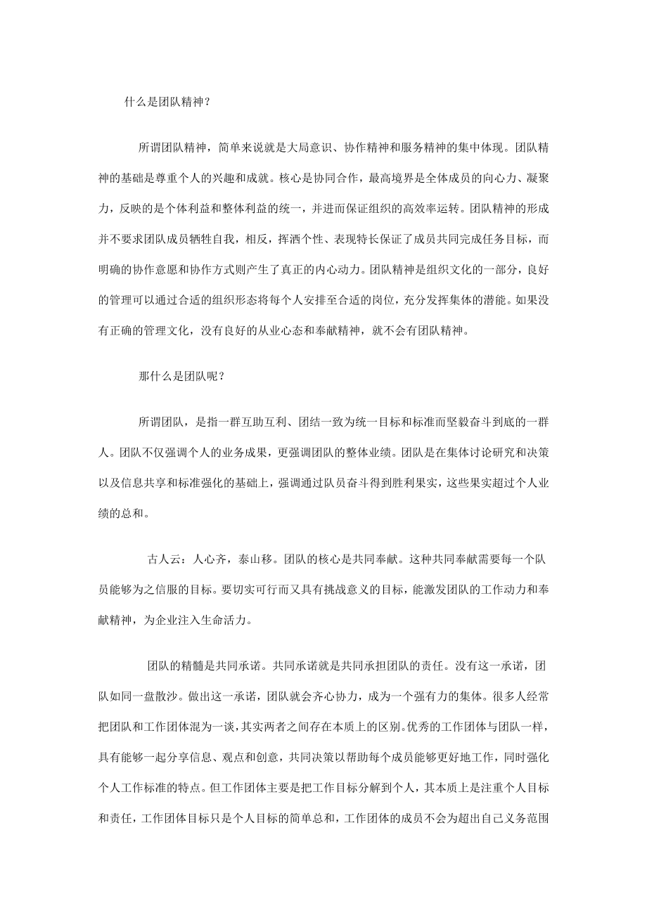 什么是团队精神_第1页