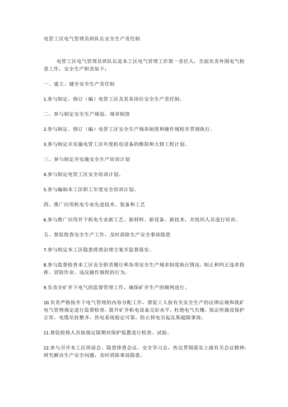 电管工区电气管理员班队长安全生产责任制_第1页