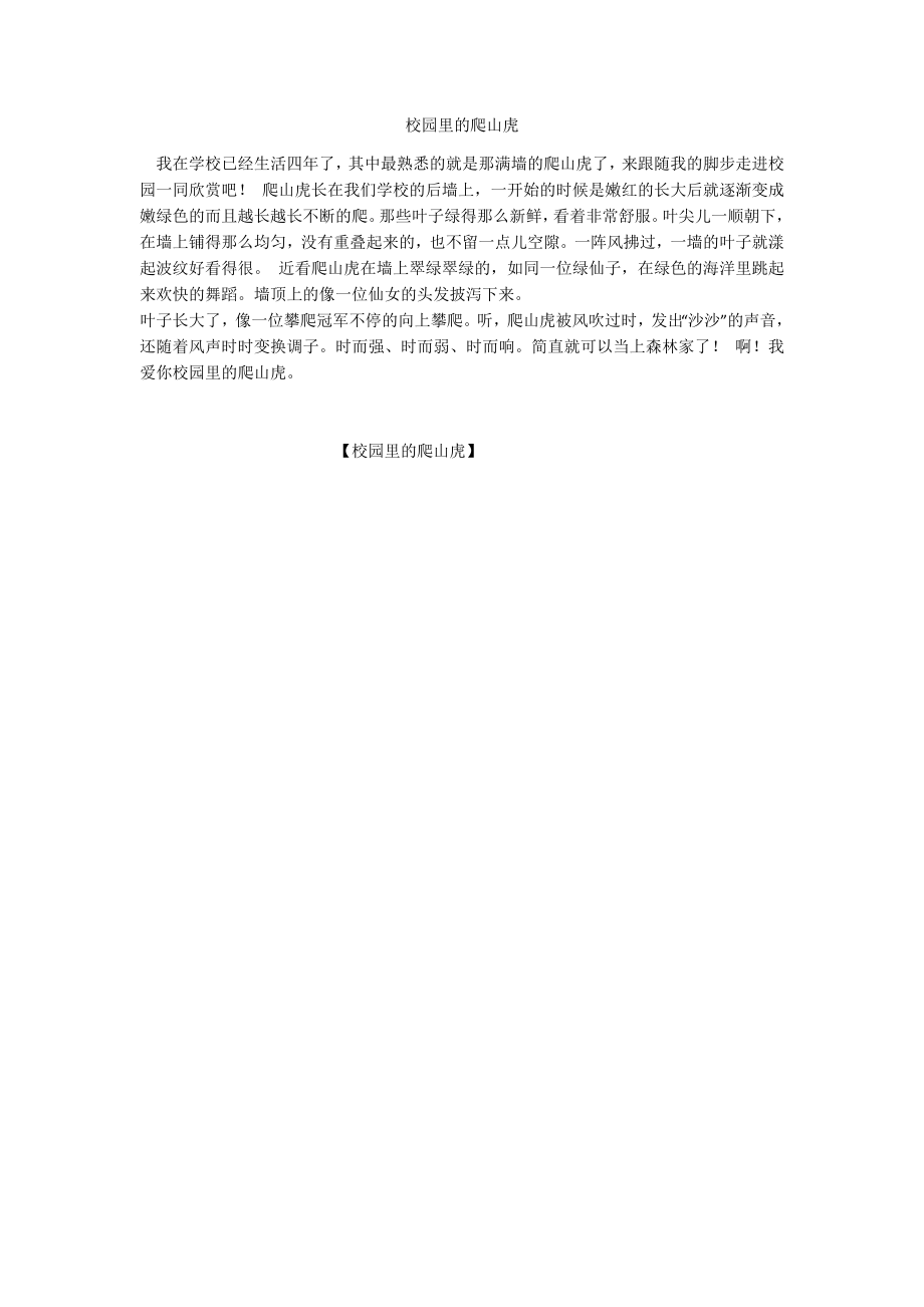 校园里的爬山虎_第1页