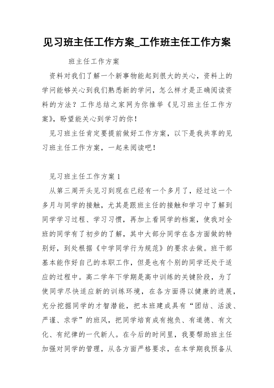 见习班主任工作方案_第1页
