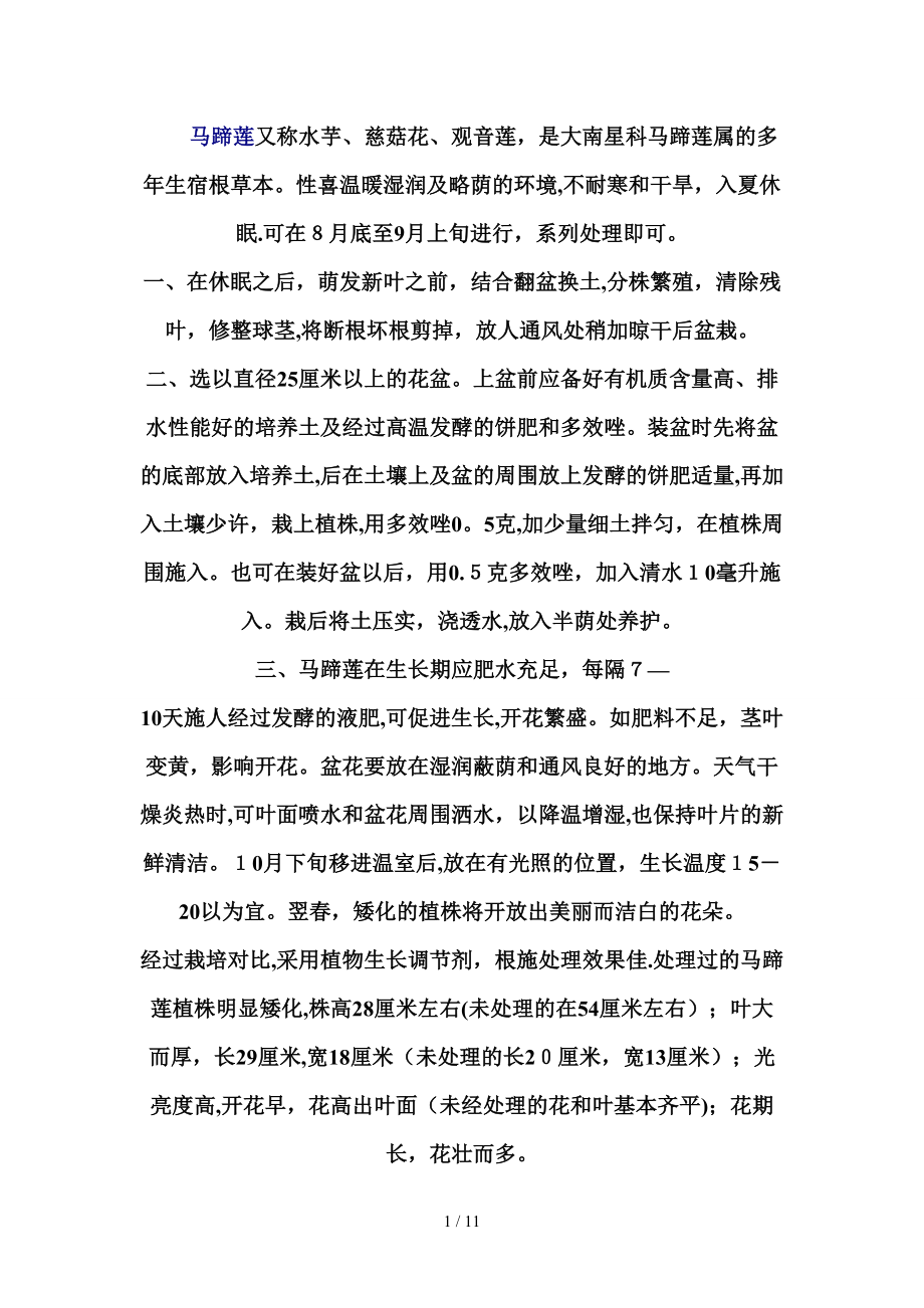 马蹄莲又称水芋_第1页