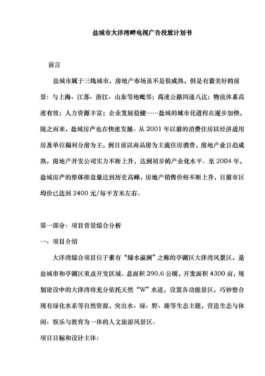 盐城市大洋湾畔电视广告投放计划书_第1页
