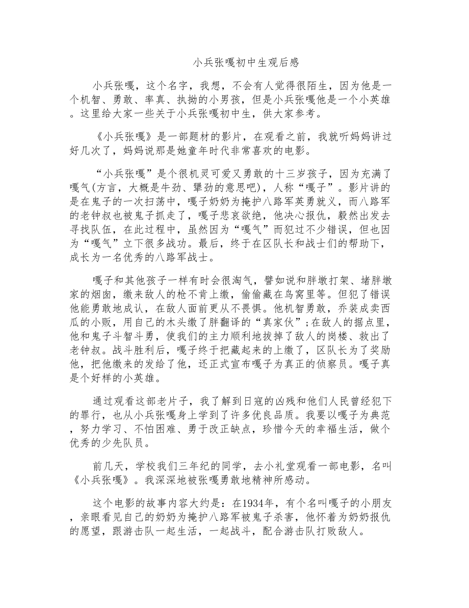 小兵张嘎初中生观后感_第1页