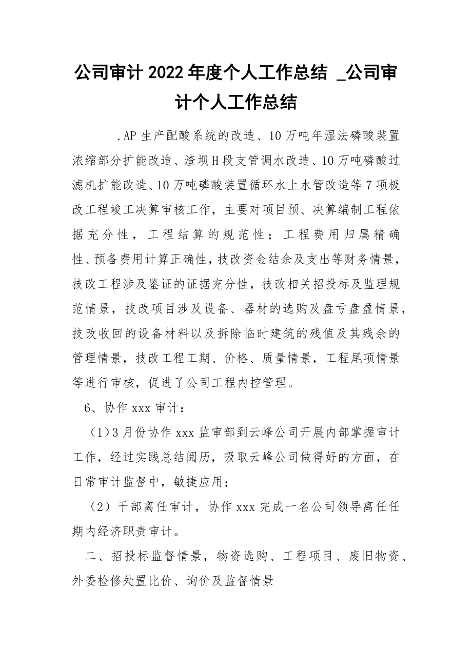 公司审计2022年度个人工作总结_第1页