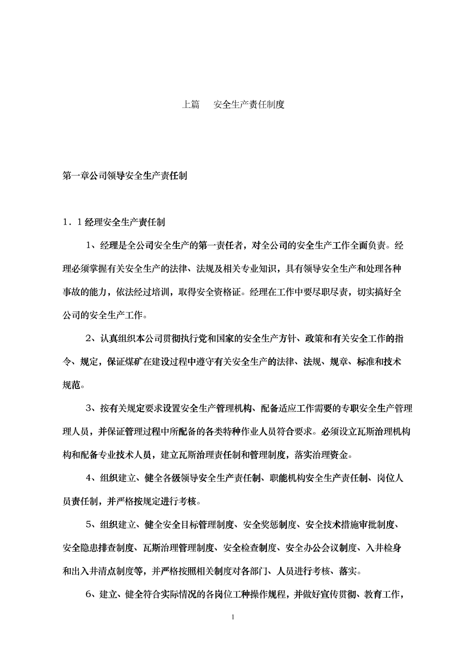 XX煤矿安全生产责任制_第1页