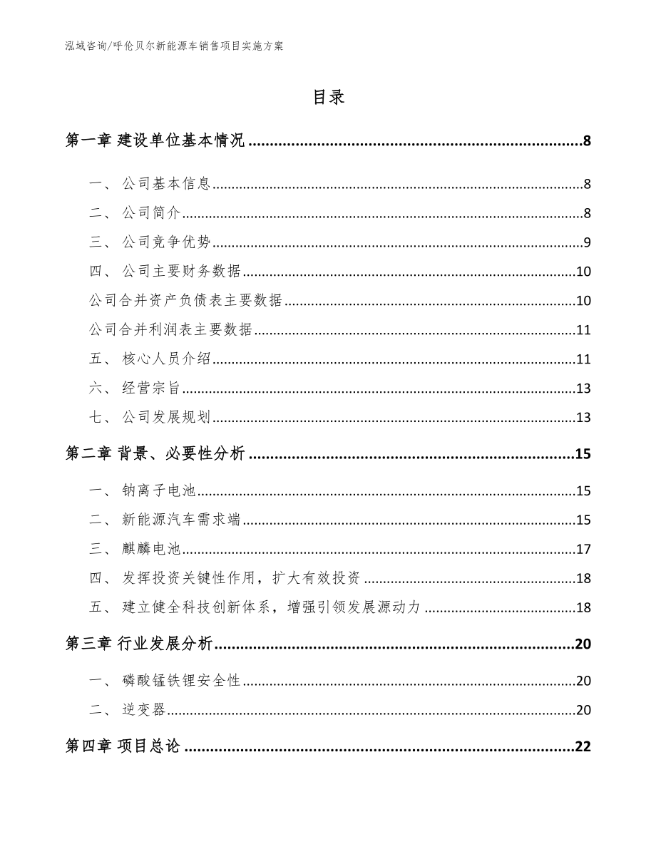 呼伦贝尔新能源车销售项目实施方案_第1页