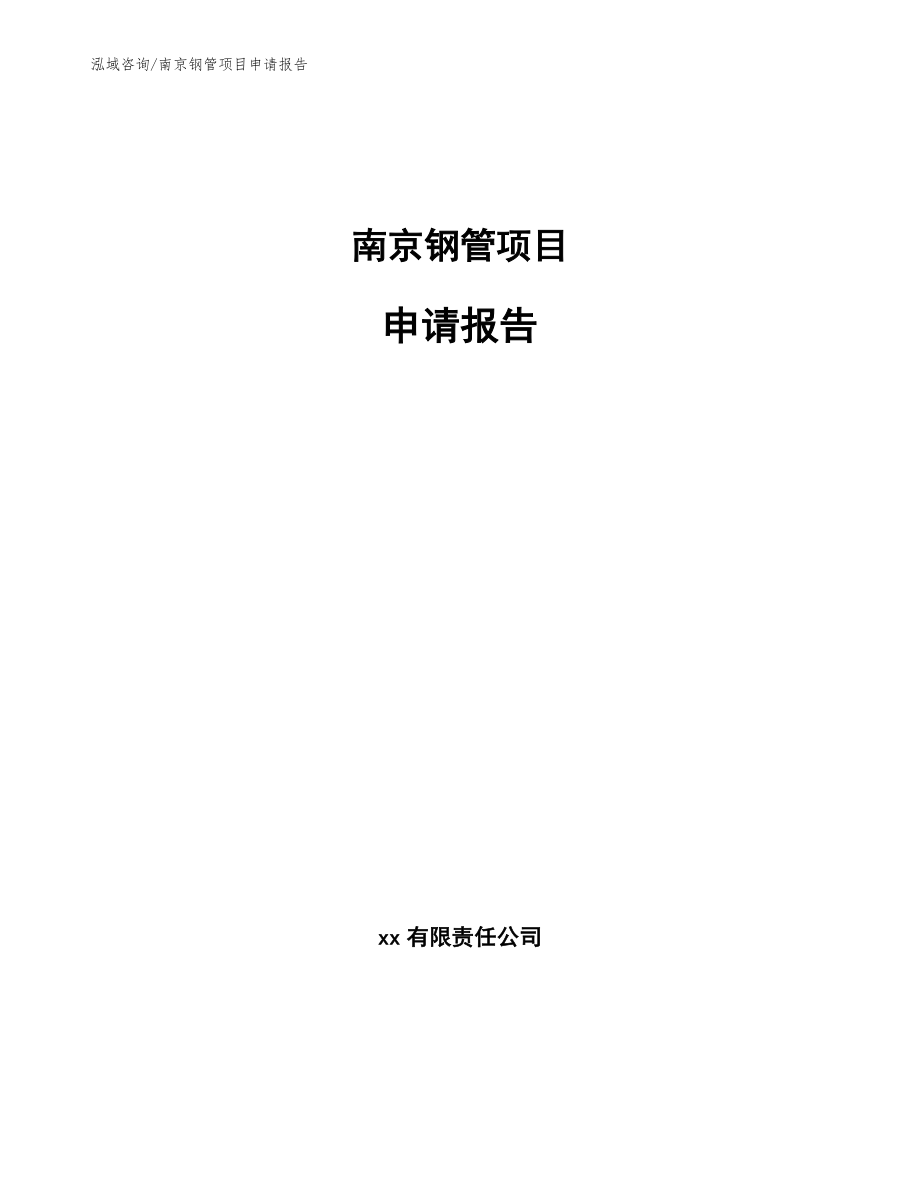南京钢管项目申请报告模板_第1页