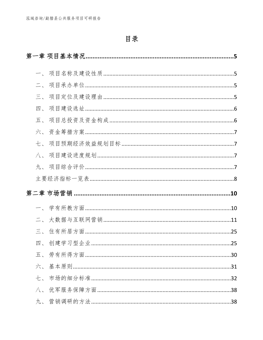 勐腊县公共服务项目可研报告_模板_第1页