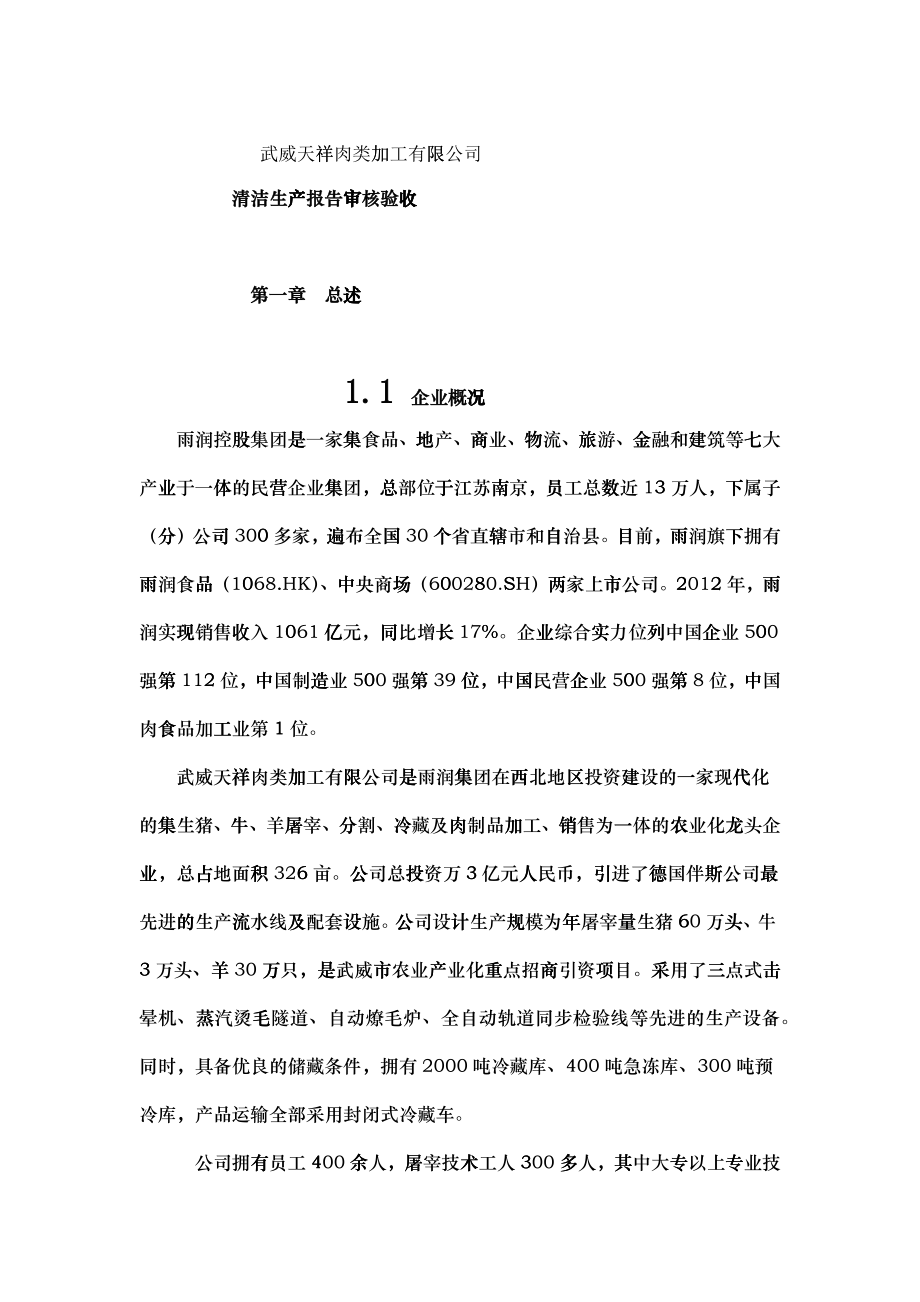 清洁生产审核验收报告_第1页