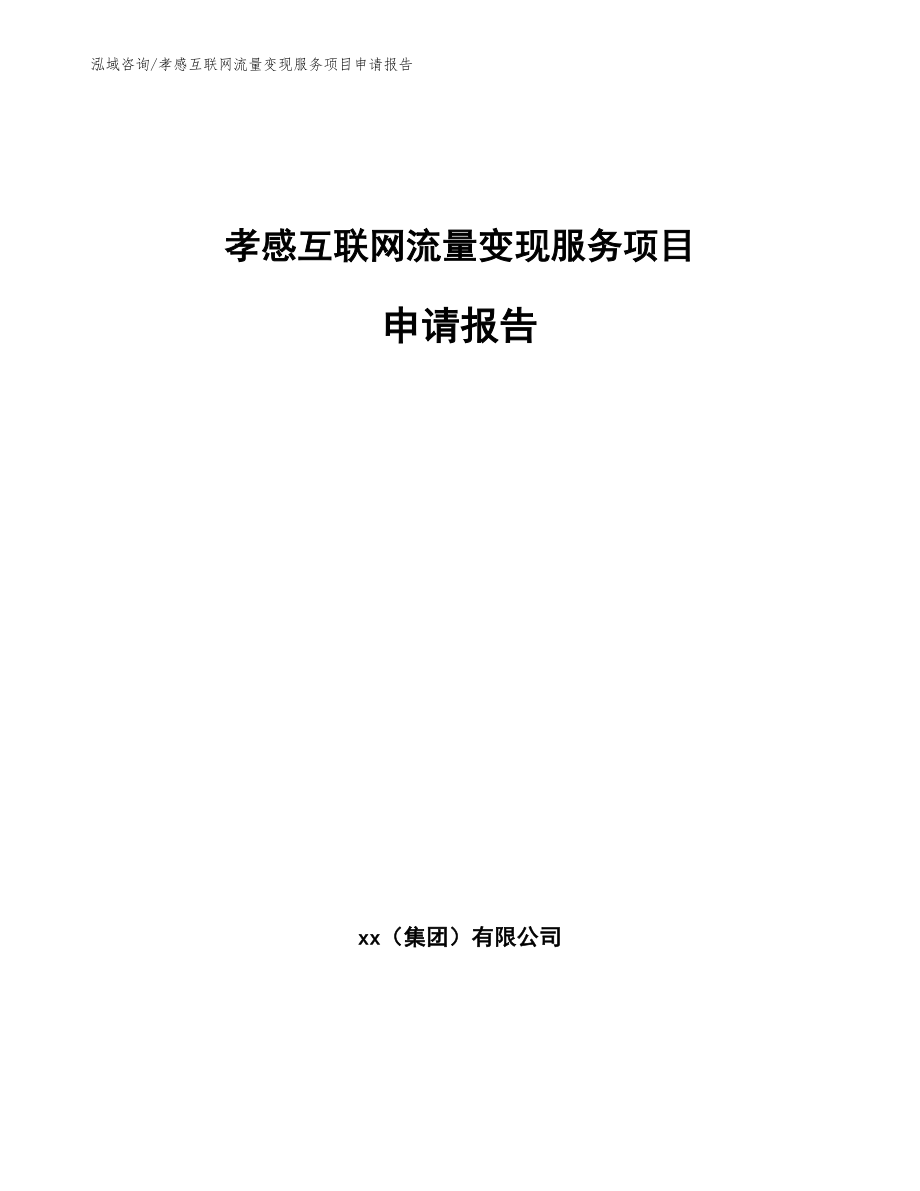 孝感互联网流量变现服务项目申请报告_第1页