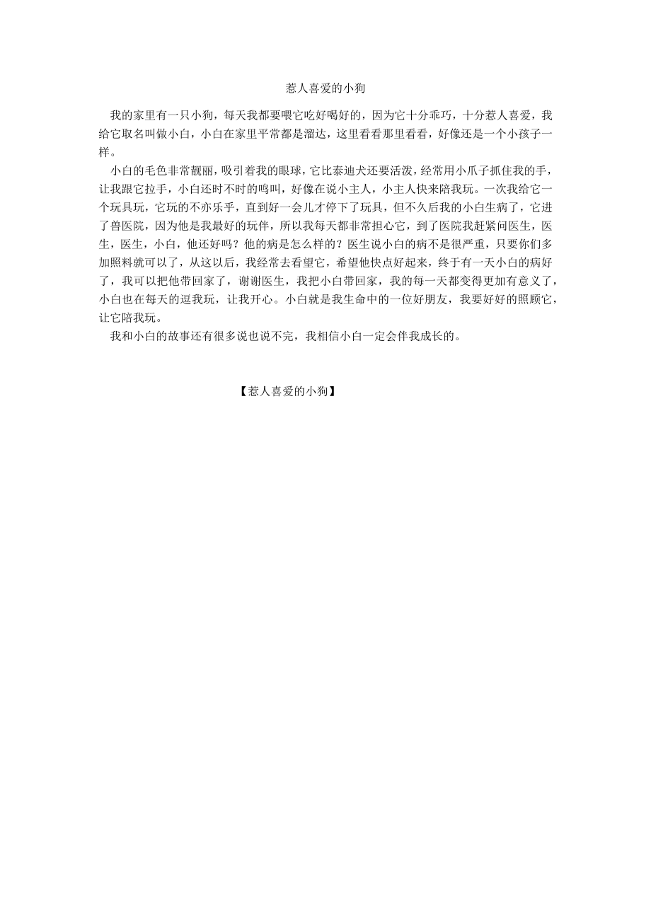 惹人喜爱的小狗_第1页