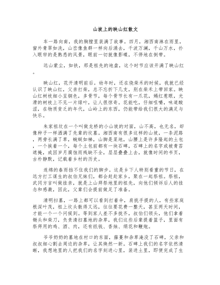 山坡上的映山红散文_第1页