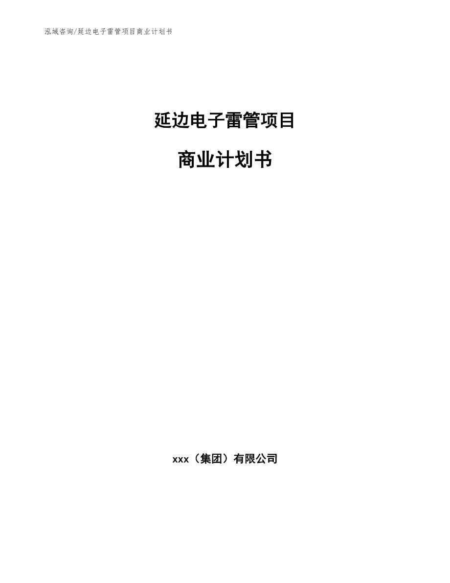 延边电子雷管项目商业计划书范文_第1页
