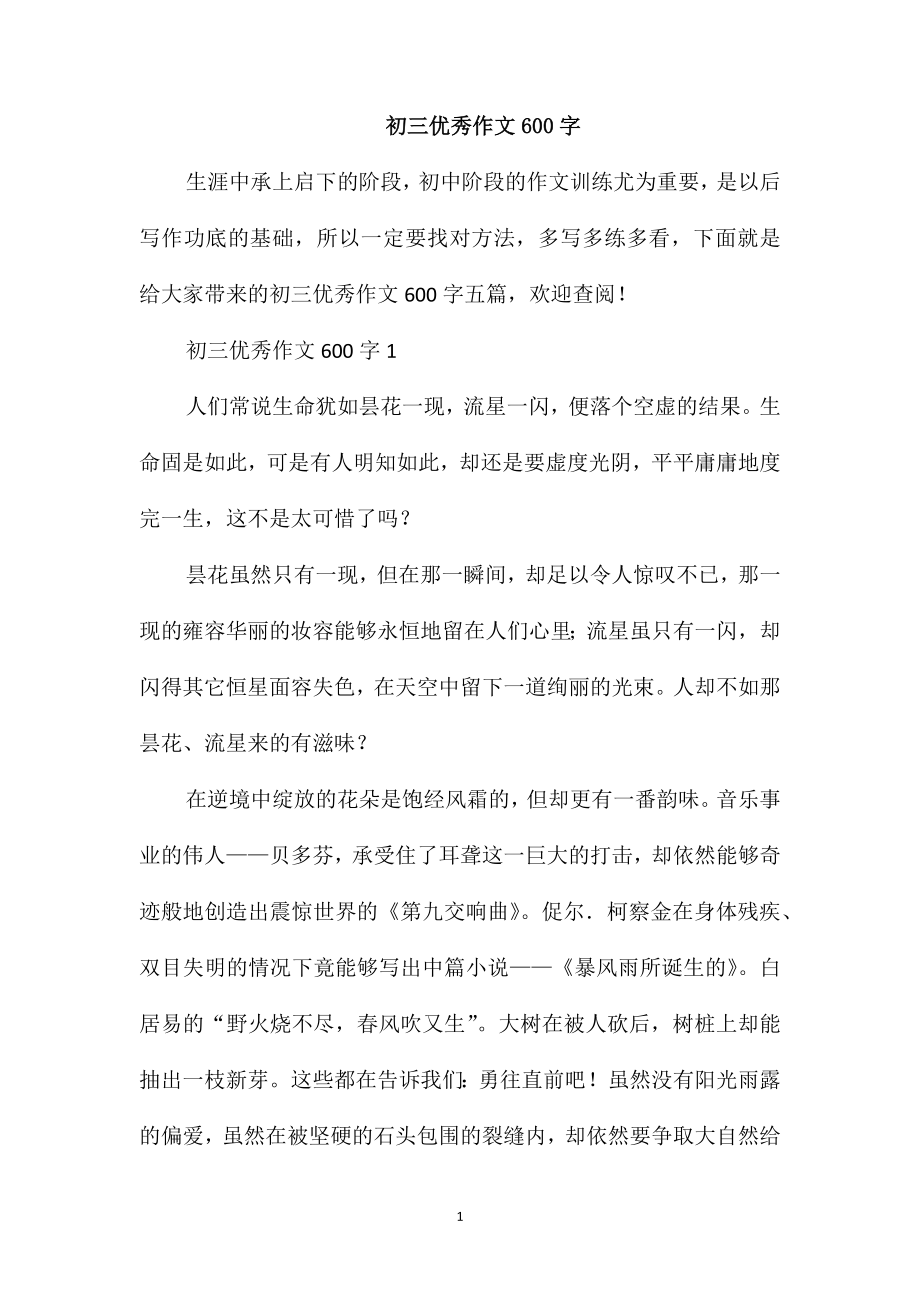 初三优秀作文600字_第1页