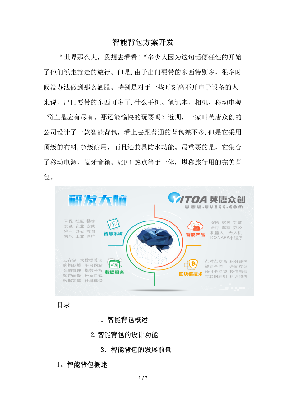 智能背包方案开发_第1页