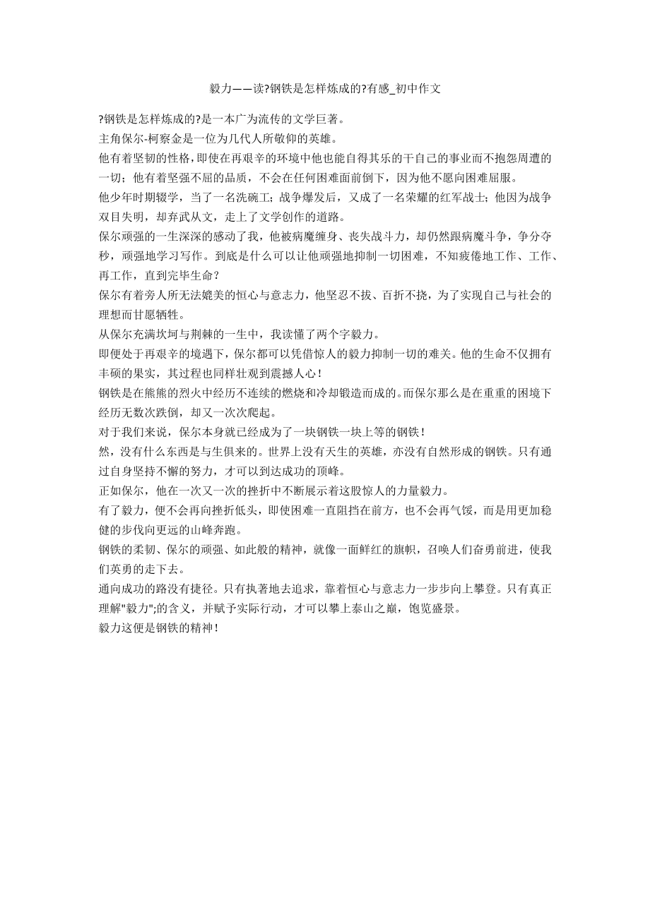毅力——读《钢铁是怎样炼成的》有感_第1页