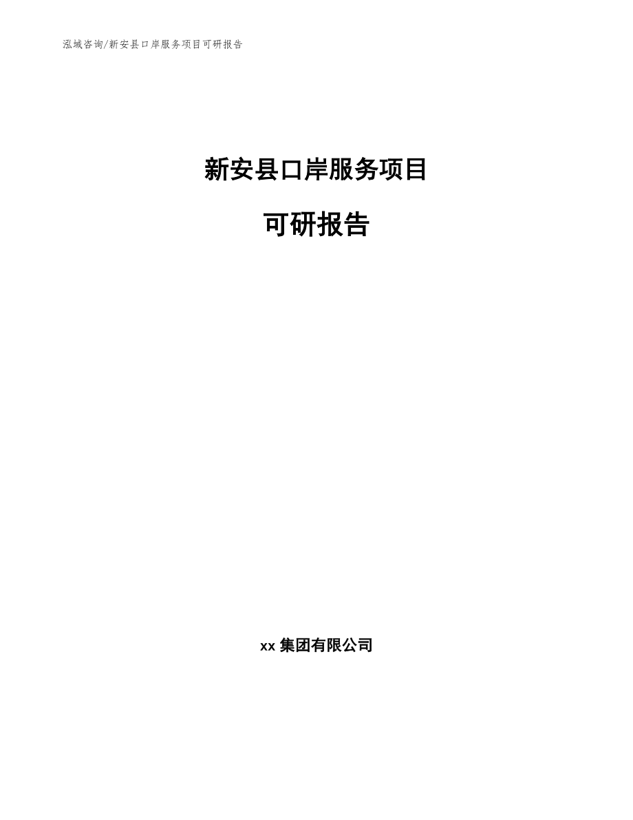 新安县口岸服务项目可研报告（范文模板）_第1页