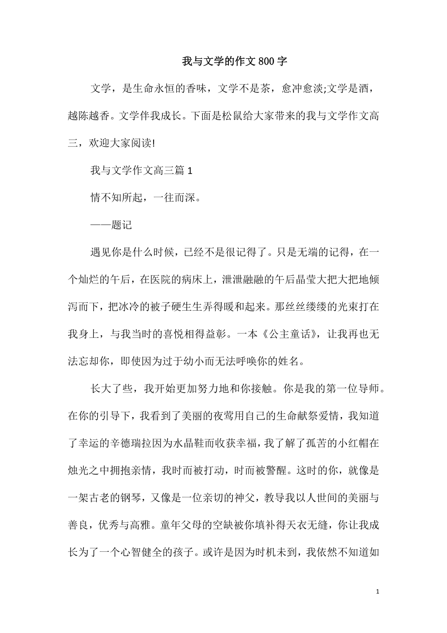 我与文学的作文800字_第1页