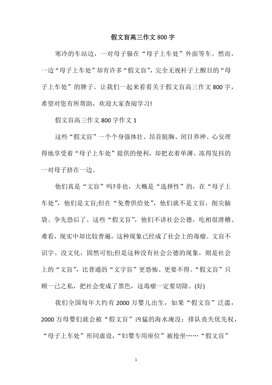假文盲高三作文800字_第1页