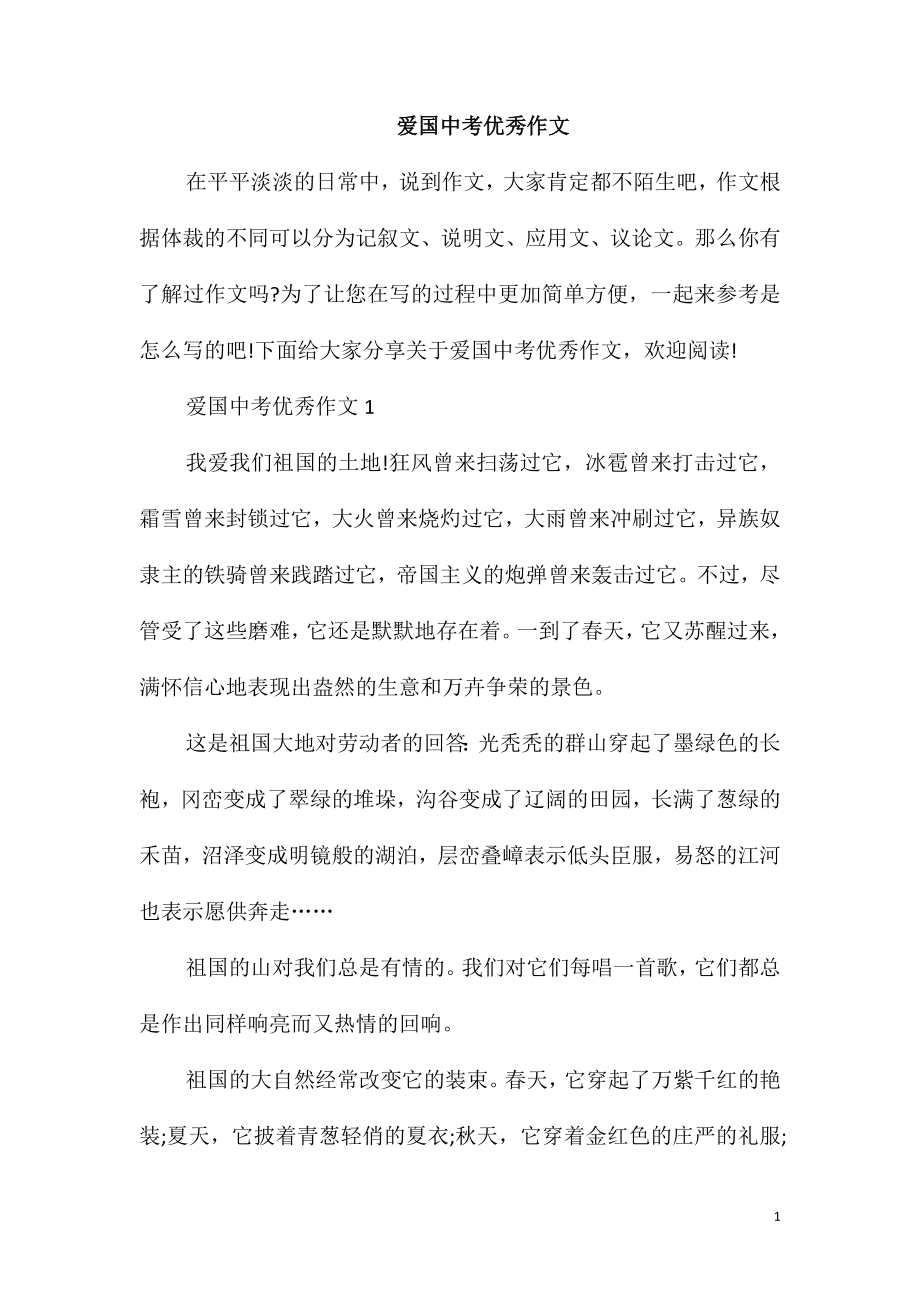 爱国中考优秀作文_第1页