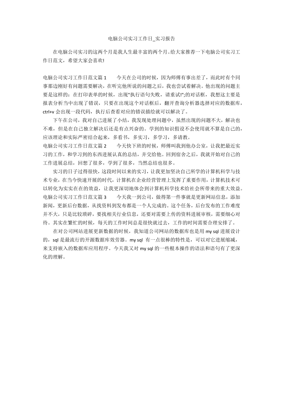 电脑公司实习工作日_第1页