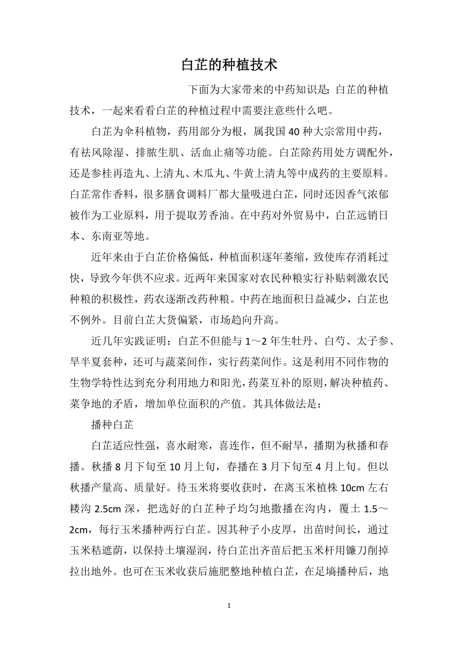 白芷的种植技术_第1页