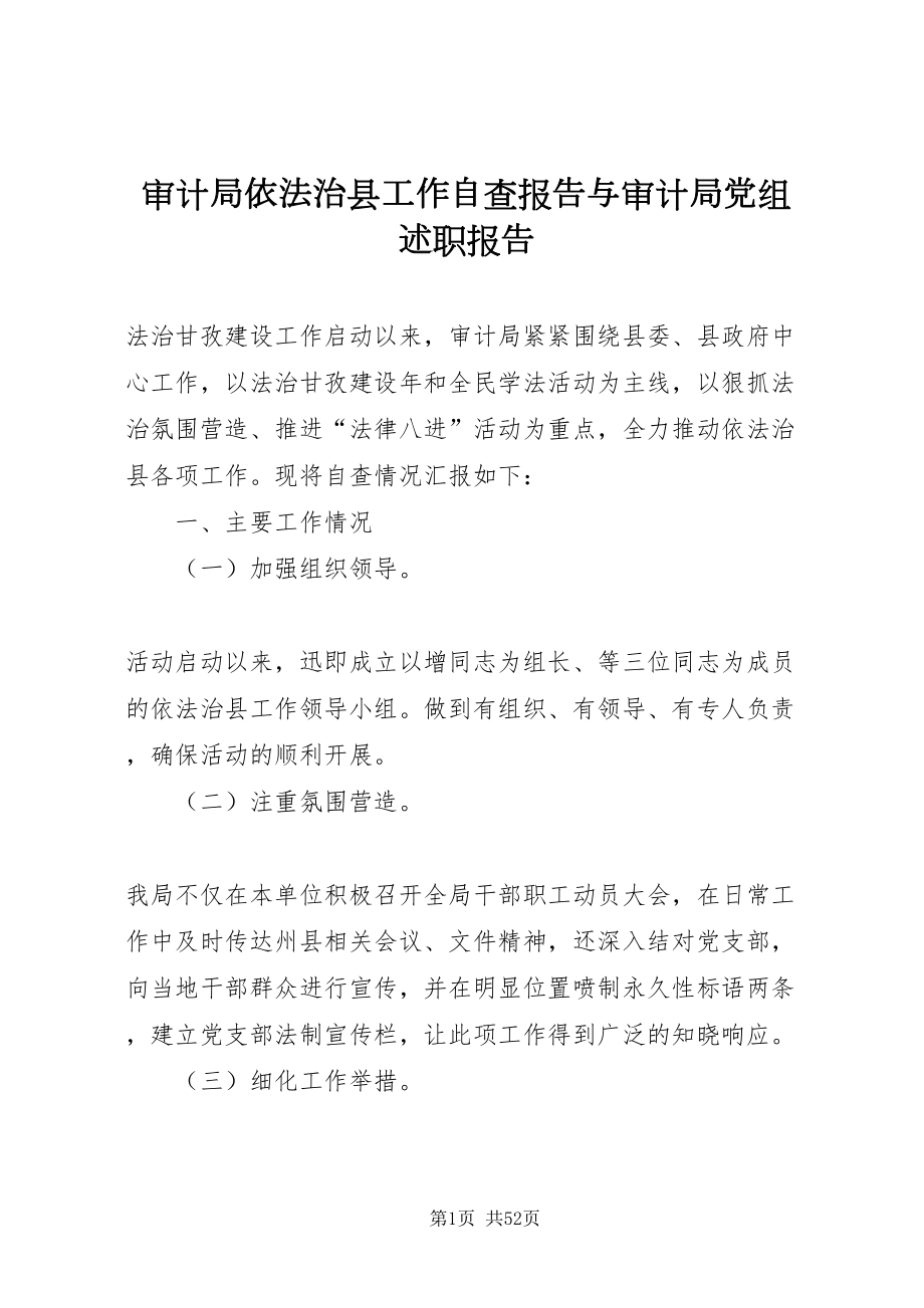 2022审计局依法治县工作自查报告与审计局党组述职报告_第1页