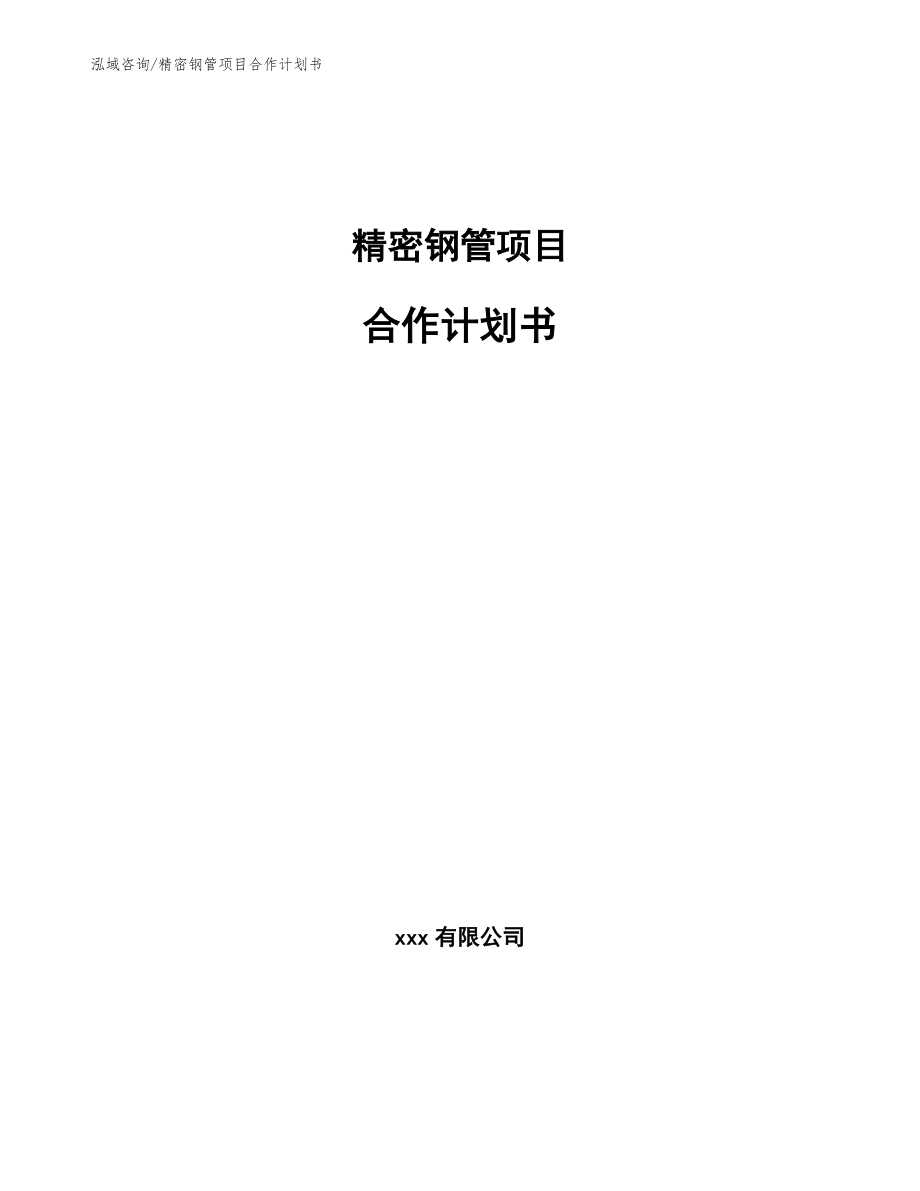 精密钢管项目合作计划书（范文模板）_第1页