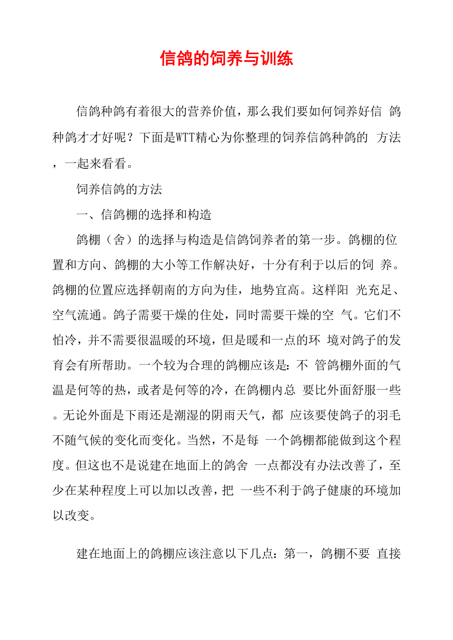 信鸽的饲养与训练_第1页